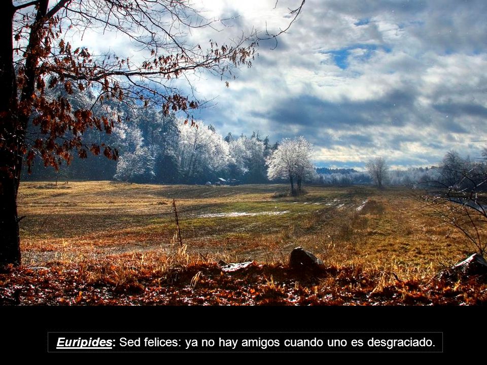 Euripides: Sed felices: ya no hay amigos cuando uno es desgraciado.