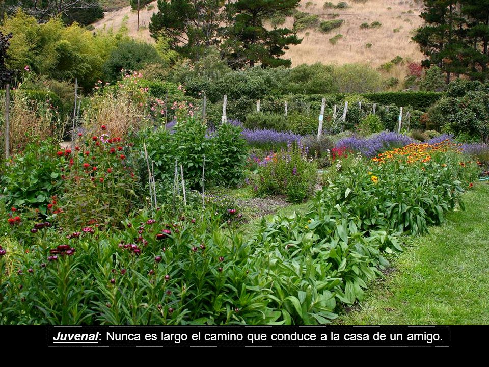 Juvenal: Nunca es largo el camino que conduce a la casa de un amigo.