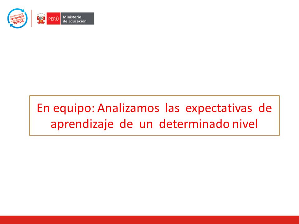 En equipo: Analizamos las expectativas de aprendizaje de un determinado nivel