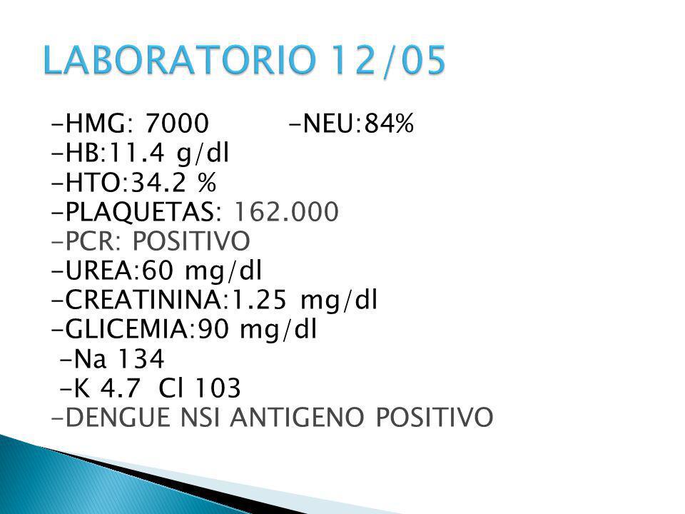 LABORATORIO 12/05