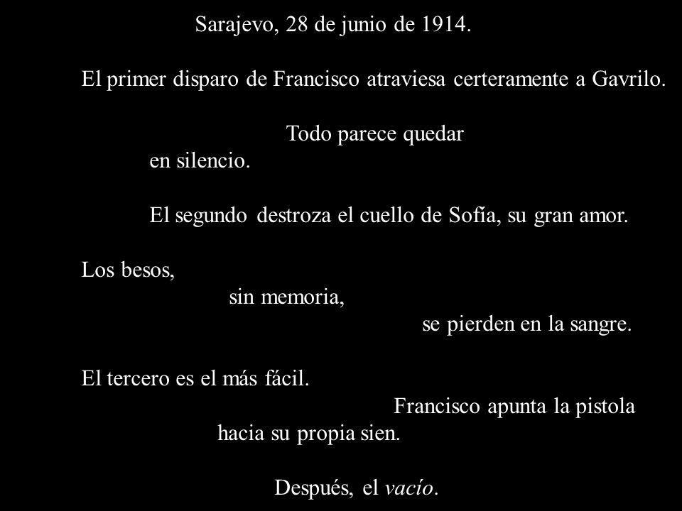 Sarajevo, 28 de junio de El primer disparo de Francisco atraviesa certeramente a Gavrilo. Todo parece quedar.