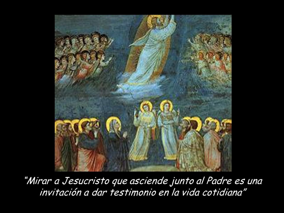 Mirar a Jesucristo que asciende junto al Padre es una invitación a dar testimonio en la vida cotidiana