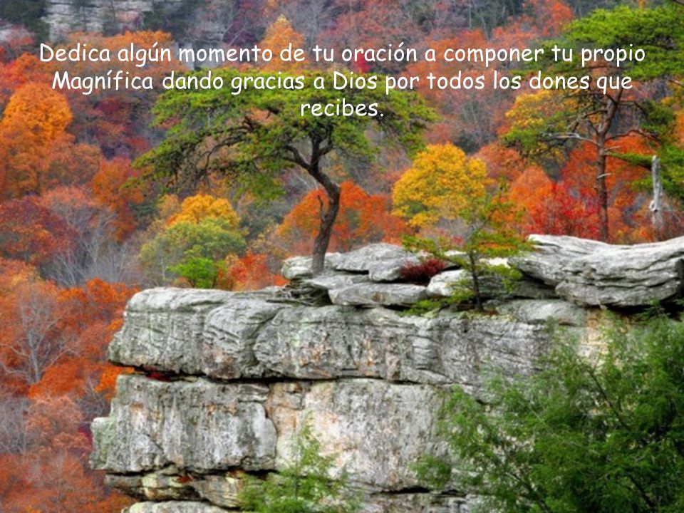 Dedica algún momento de tu oración a componer tu propio Magnífica dando gracias a Dios por todos los dones que recibes.