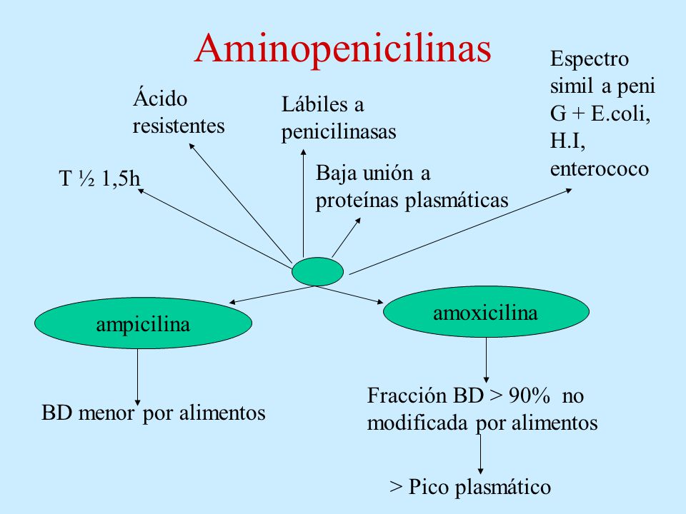Aminopenicilinas Espectro simil a peni G + E.coli, H.I, enterococo