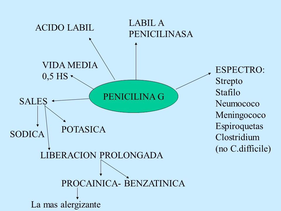 LABIL A PENICILINASA. ACIDO LABIL. VIDA MEDIA. 0,5 HS. ESPECTRO: Strepto. Stafilo. Neumococo.
