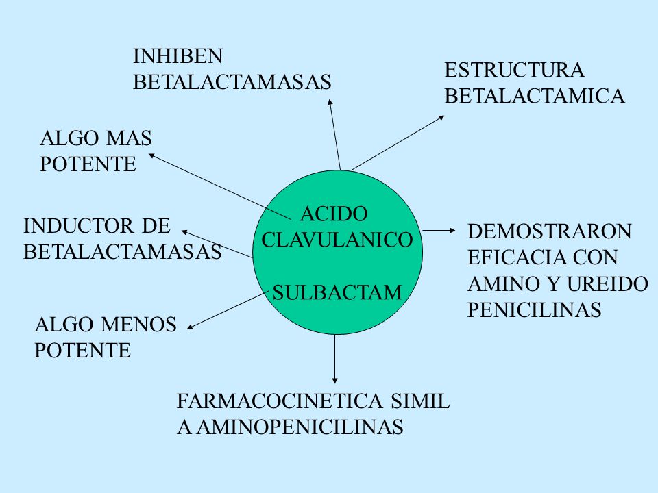 INHIBEN BETALACTAMASAS. ESTRUCTURA. BETALACTAMICA. ALGO MAS. POTENTE. ACIDO. CLAVULANICO. SULBACTAM.