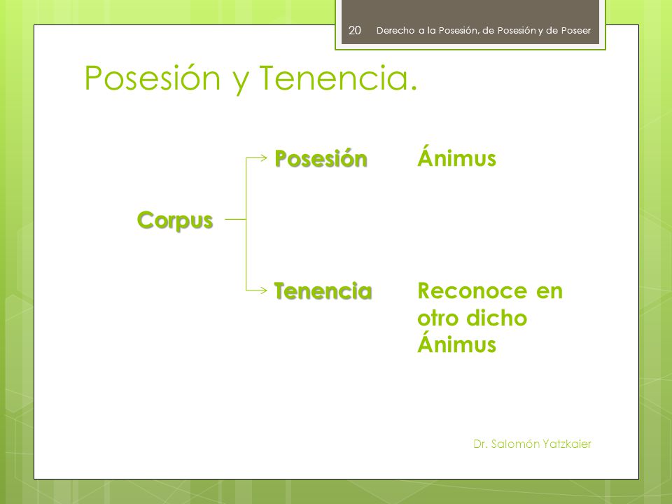 Posesión y Tenencia. Posesión Ánimus Corpus Tenencia