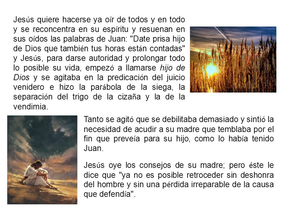 Jesús quiere hacerse ya oír de todos y en todo y se reconcentra en su espíritu y resuenan en sus oídos las palabras de Juan: Date prisa hijo de Dios que también tus horas están contadas y Jesús, para darse autoridad y prolongar todo lo posible su vida, empezó a llamarse hijo de Dios y se agitaba en la predicación del juicio venidero e hizo la parábola de la siega, la separación del trigo de la cizaña y la de la vendimia.