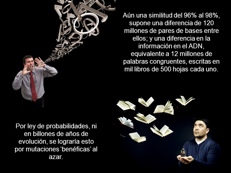 Aún una similitud del 96% al 98%, supone una diferencia de 120 millones de pares de bases entre ellos; y una diferencia en la información en el ADN, equivalente a 12 millones de palabras congruentes, escritas en mil libros de 500 hojas cada uno.