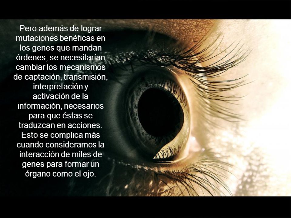 Pero además de lograr mutaciones benéficas en los genes que mandan órdenes, se necesitarían cambiar los mecanismos de captación, transmisión, interpretación y activación de la información, necesarios para que éstas se traduzcan en acciones.