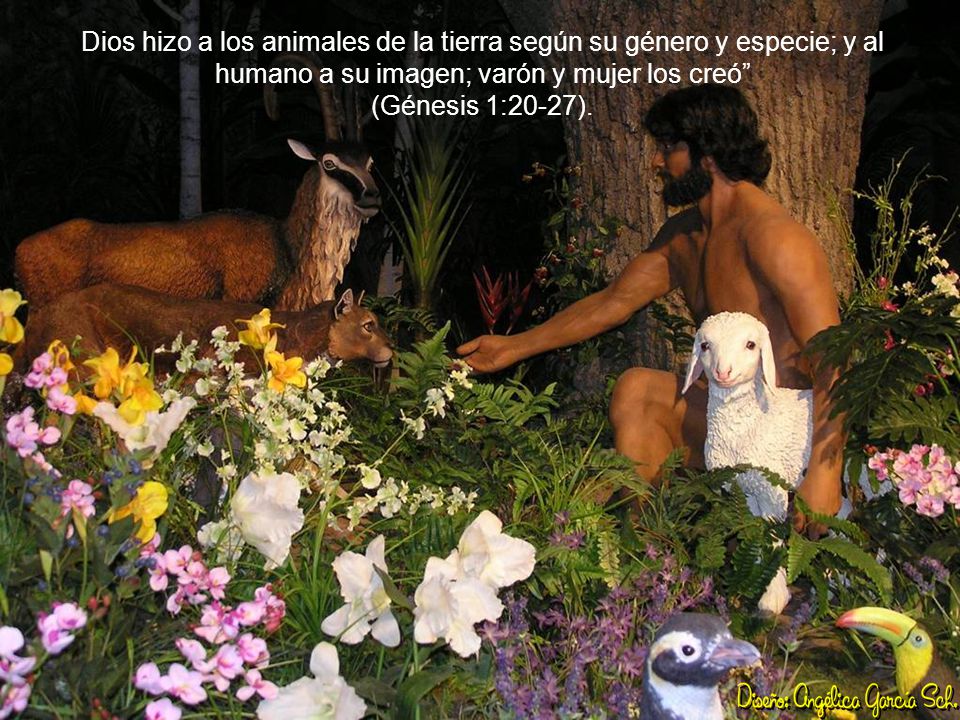 Dios hizo a los animales de la tierra según su género y especie; y al humano a su imagen; varón y mujer los creó (Génesis 1:20-27).