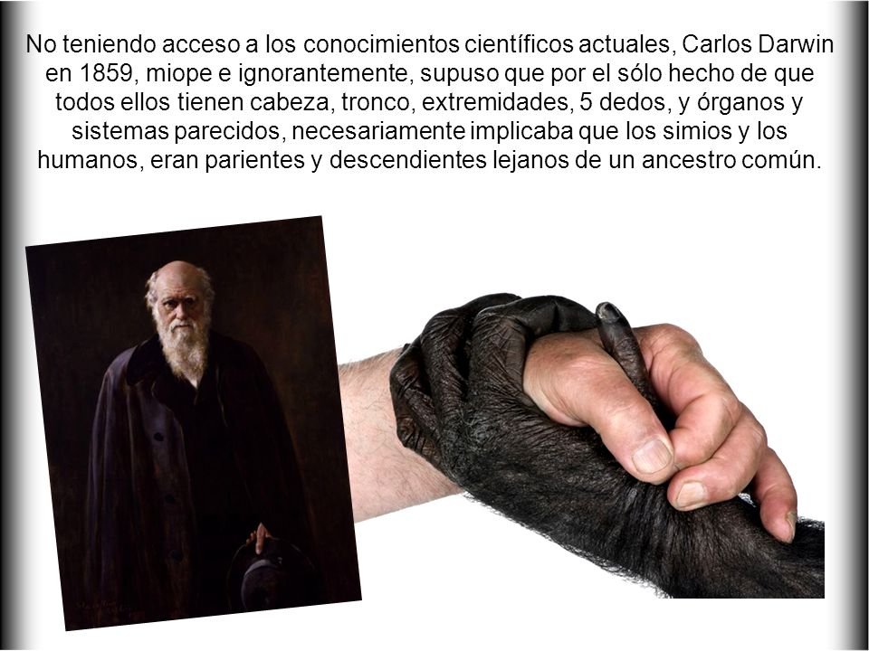 No teniendo acceso a los conocimientos científicos actuales, Carlos Darwin en 1859, miope e ignorantemente, supuso que por el sólo hecho de que todos ellos tienen cabeza, tronco, extremidades, 5 dedos, y órganos y sistemas parecidos, necesariamente implicaba que los simios y los humanos, eran parientes y descendientes lejanos de un ancestro común.