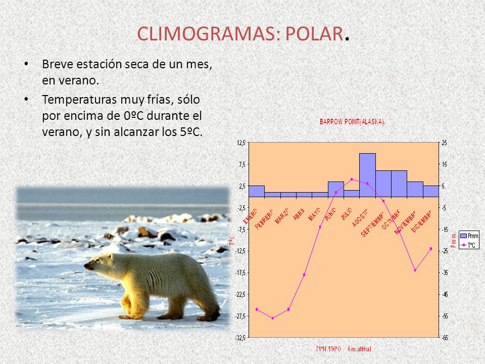CLIMOGRAMAS: POLAR. Breve estación seca de un mes, en verano.