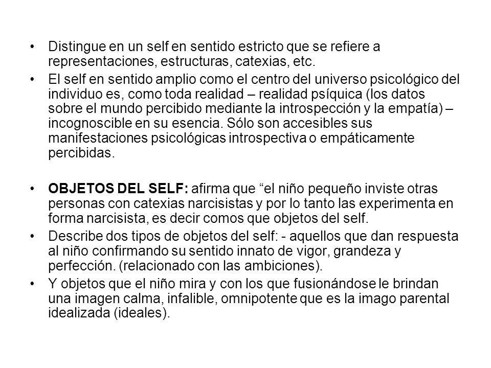 Distingue en un self en sentido estricto que se refiere a representaciones, estructuras, catexias, etc.