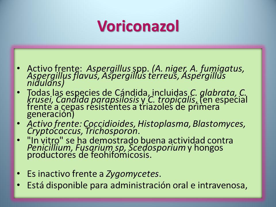 Voriconazol Activo frente: Aspergillus spp. (A. niger, A. fumigatus, Aspergillus flavus, Aspergillus terreus, Aspergillus nidulans)