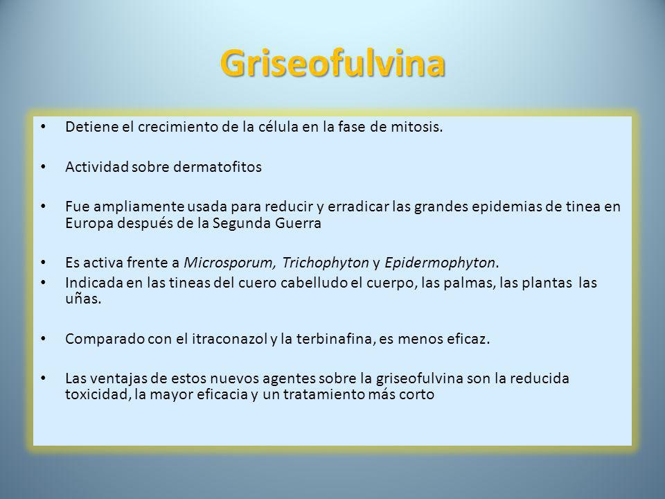 Griseofulvina Detiene el crecimiento de la célula en la fase de mitosis. Actividad sobre dermatofitos.