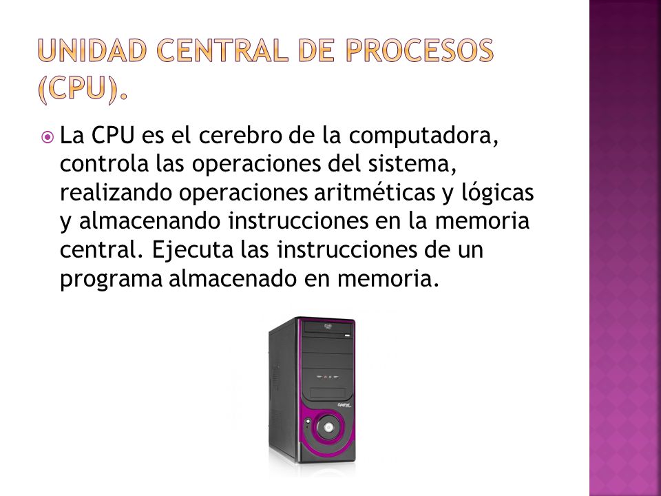 Unidad central de procesos (CPU).