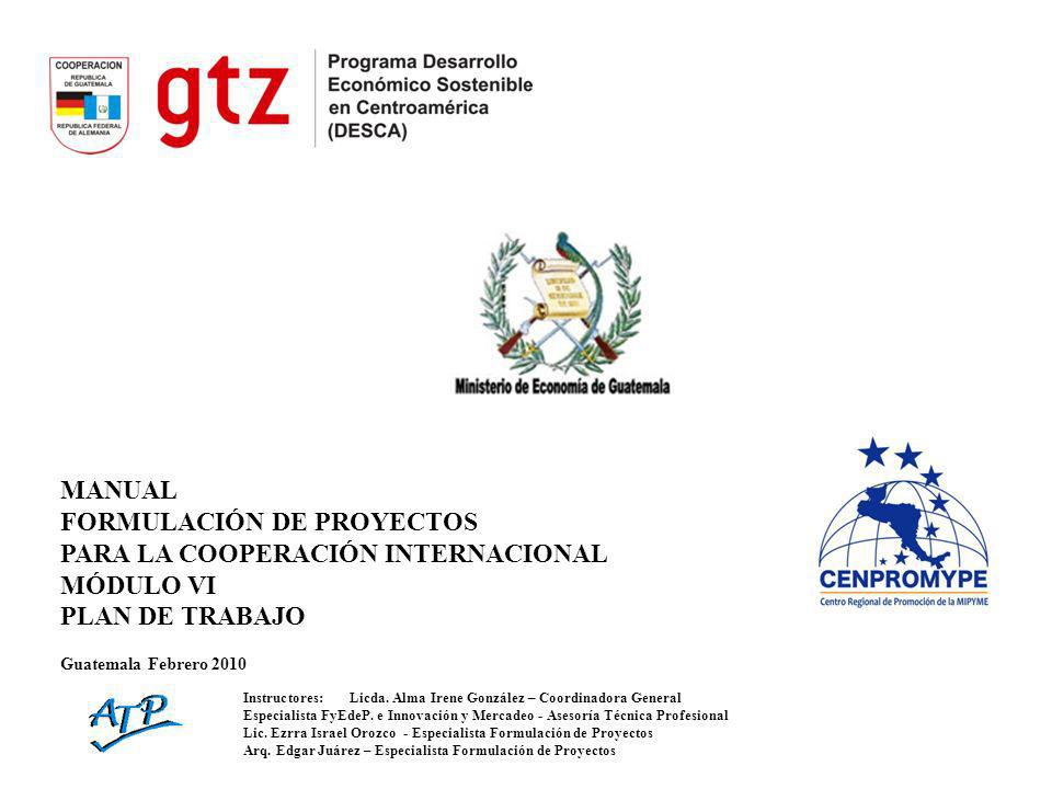 FORMULACIÓN DE PROYECTOS PARA LA COOPERACIÓN INTERNACIONAL MÓDULO VI