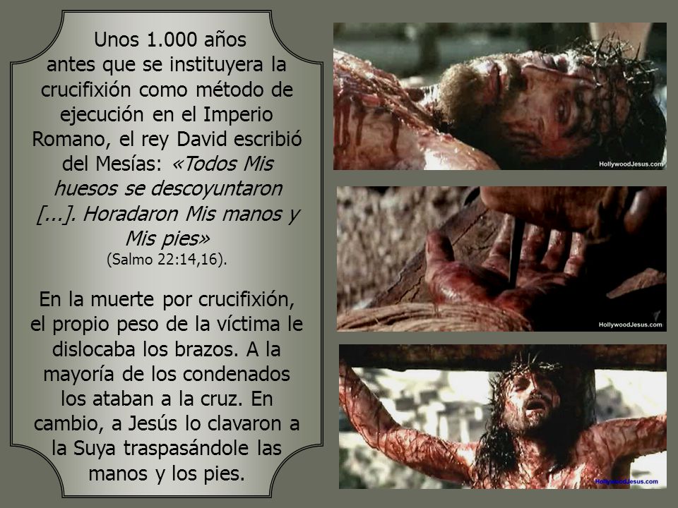 Unos años antes que se instituyera la crucifixión como método de ejecución en el Imperio Romano, el rey David escribió del Mesías: «Todos Mis huesos se descoyuntaron [...]. Horadaron Mis manos y Mis pies» (Salmo 22:14,16).
