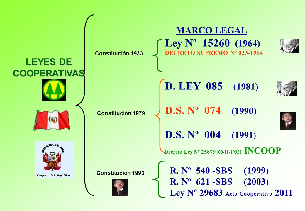MARCO LEGAL Ley Nº (1964) D. LEY 085 (1981) D.S. Nº 074 (1990)