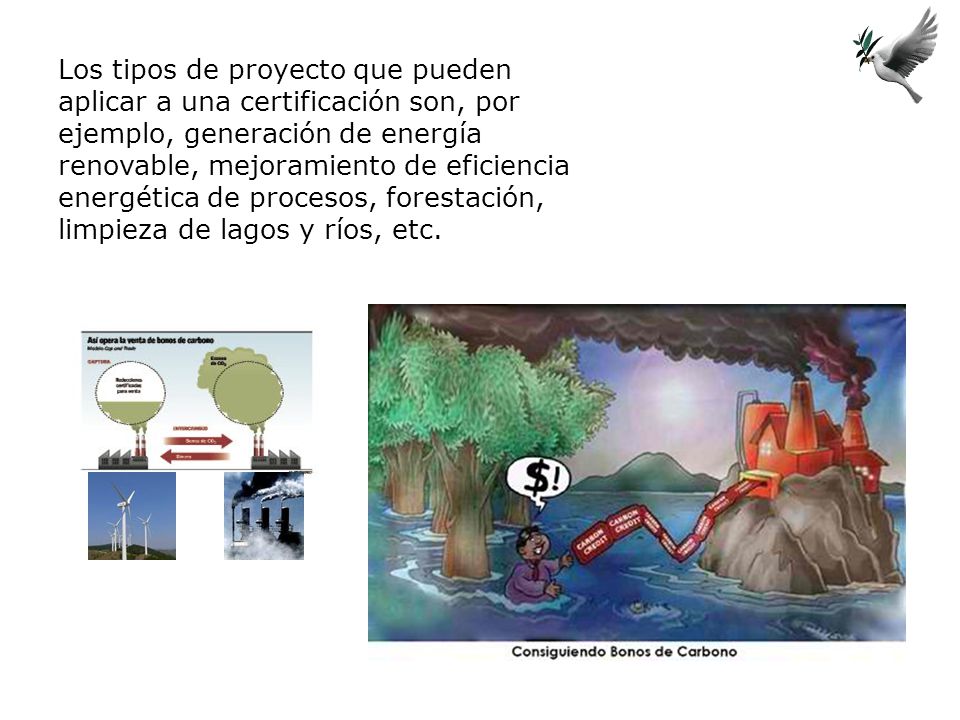 Los tipos de proyecto que pueden aplicar a una certificación son, por ejemplo, generación de energía renovable, mejoramiento de eficiencia energética de procesos, forestación, limpieza de lagos y ríos, etc.