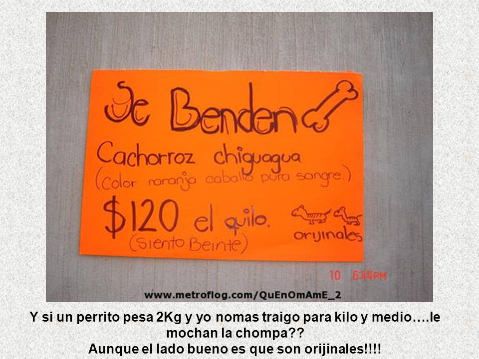 Y si un perrito pesa 2Kg y yo nomas traigo para kilo y medio…