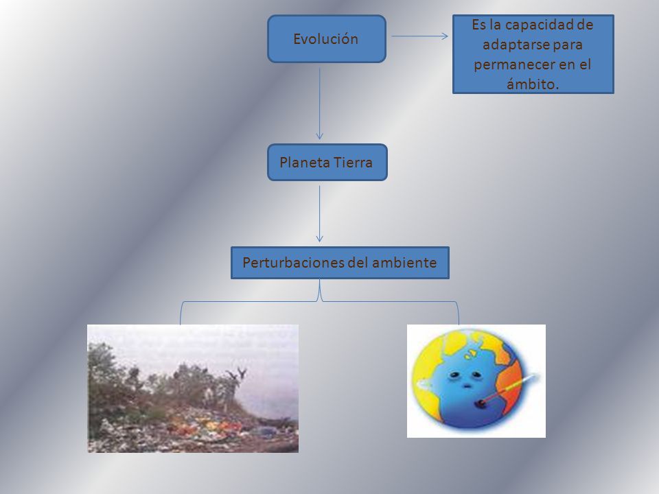 Es la capacidad de adaptarse para permanecer en el ámbito.