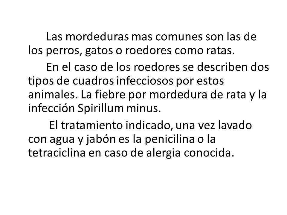 Las mordeduras mas comunes son las de los perros, gatos o roedores como ratas.