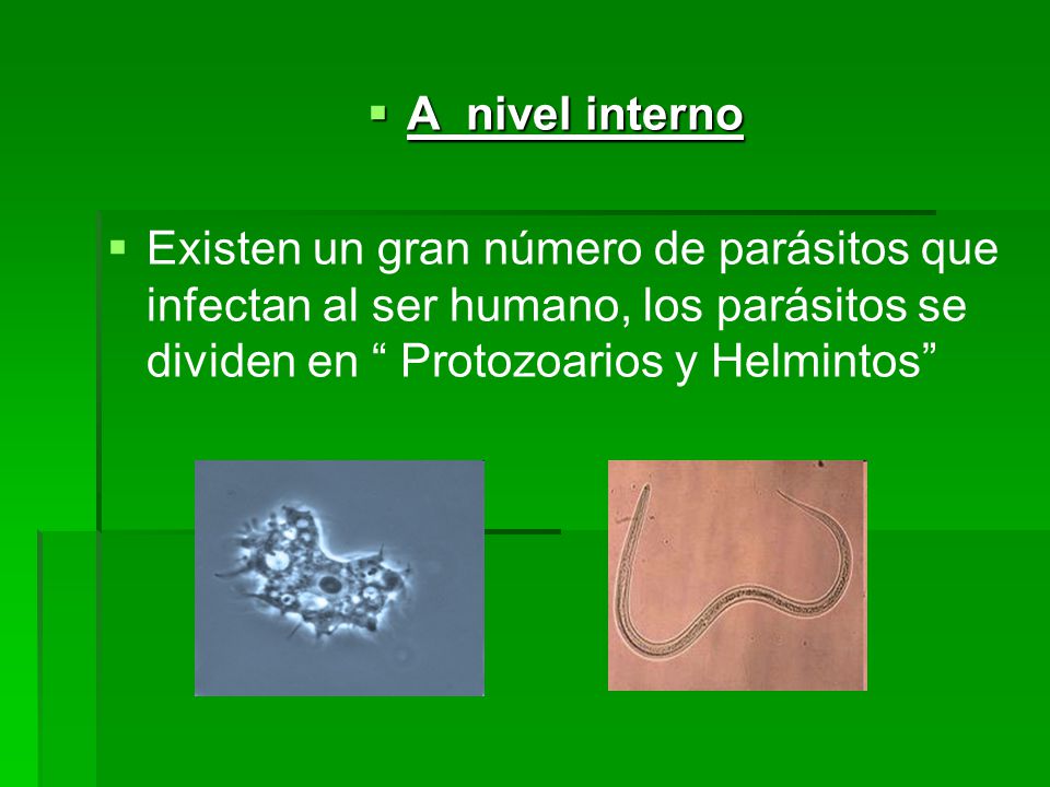 A nivel interno Existen un gran número de parásitos que infectan al ser humano, los parásitos se dividen en Protozoarios y Helmintos