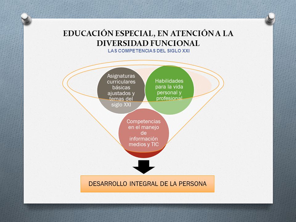 EDUCACIÓN ESPECIAL, EN ATENCIÓN A LA DIVERSIDAD FUNCIONAL LAS COMPETENCIAS DEL SIGLO XXI