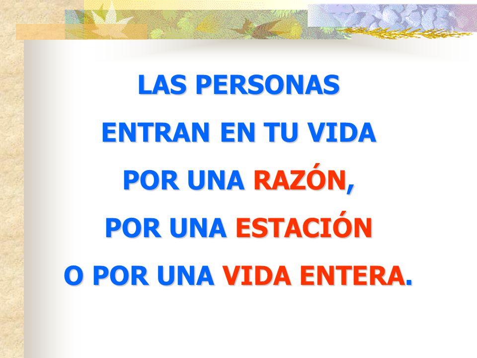 LAS PERSONAS ENTRAN EN TU VIDA POR UNA RAZÓN, POR UNA ESTACIÓN O POR UNA VIDA ENTERA.