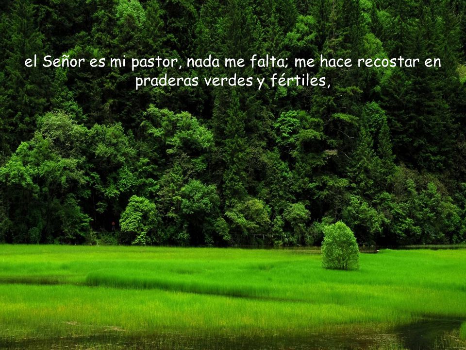 el Señor es mi pastor, nada me falta; me hace recostar en praderas verdes y fértiles,