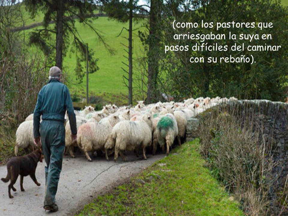 (como los pastores que arriesgaban la suya en pasos difíciles del caminar con su rebaño).