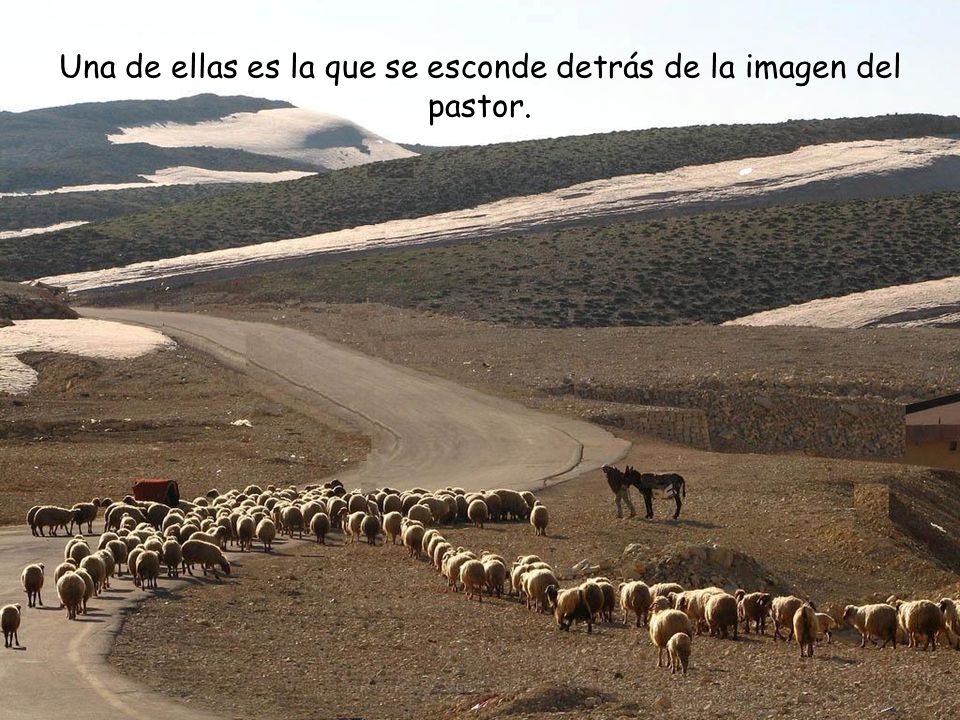 Una de ellas es la que se esconde detrás de la imagen del pastor.
