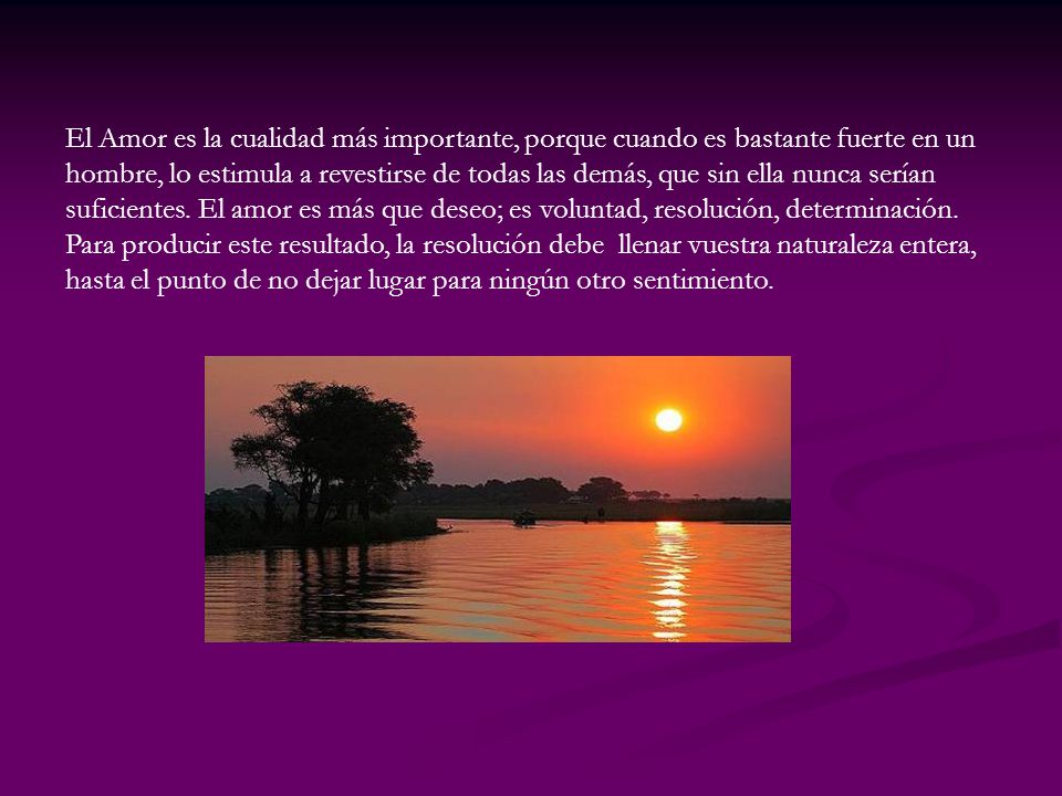 El Amor es la cualidad más importante, porque cuando es bastante fuerte en un
