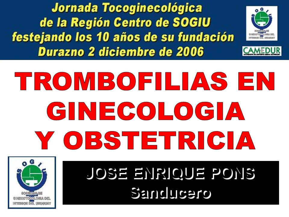 JOSE ENRIQUE PONS Sanducero