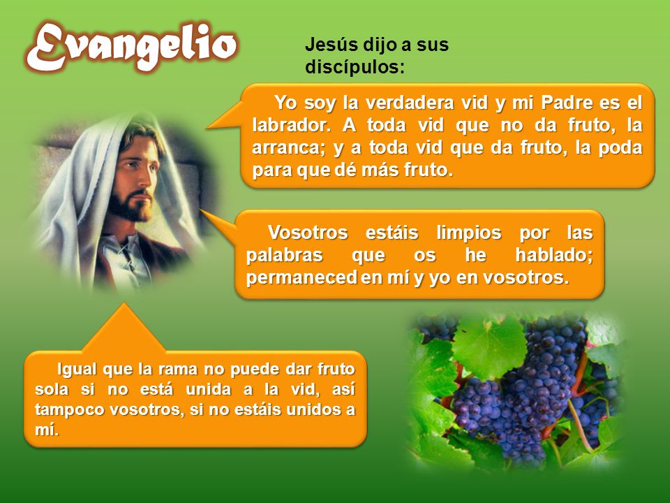 Evangelio Jesús dijo a sus discípulos: