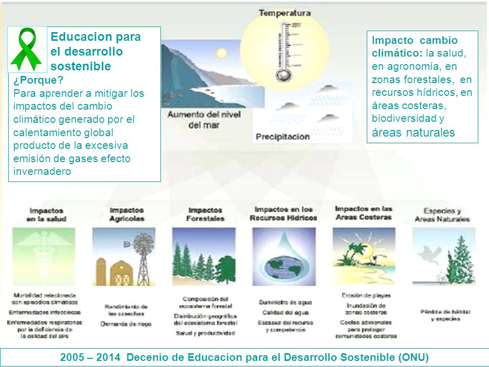 2005 – 2014 Decenio de Educacion para el Desarrollo Sostenible (ONU)