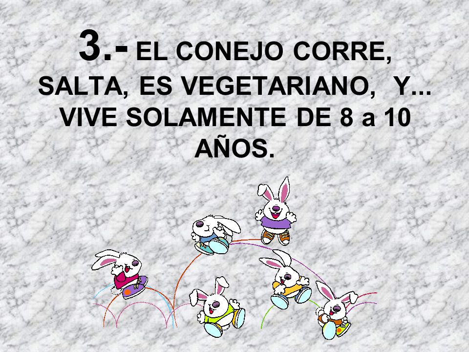 3. - EL CONEJO CORRE, SALTA, ES VEGETARIANO, Y
