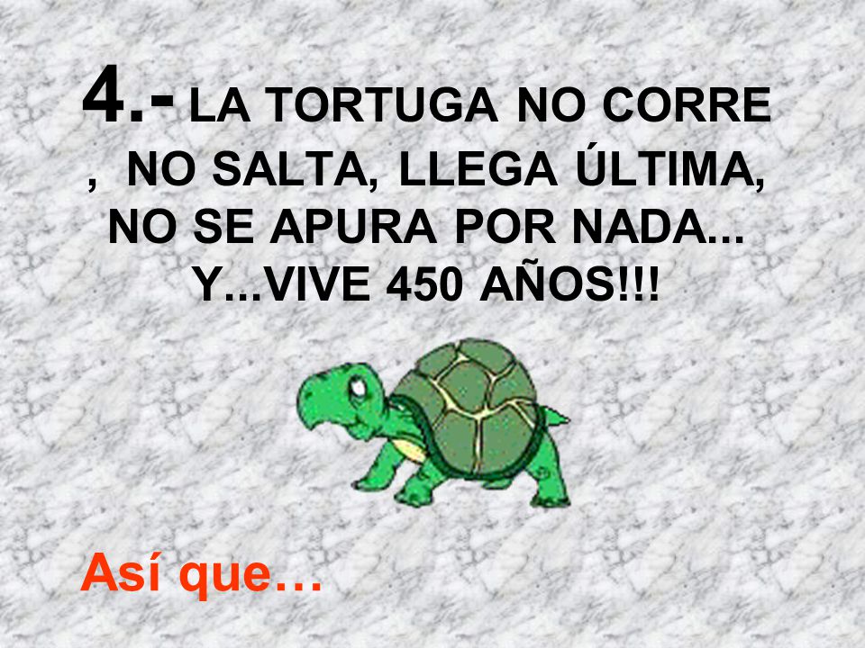 4.- LA TORTUGA NO CORRE , NO SALTA, LLEGA ÚLTIMA, NO SE APURA POR NADA... Y...VIVE 450 AÑOS!!!