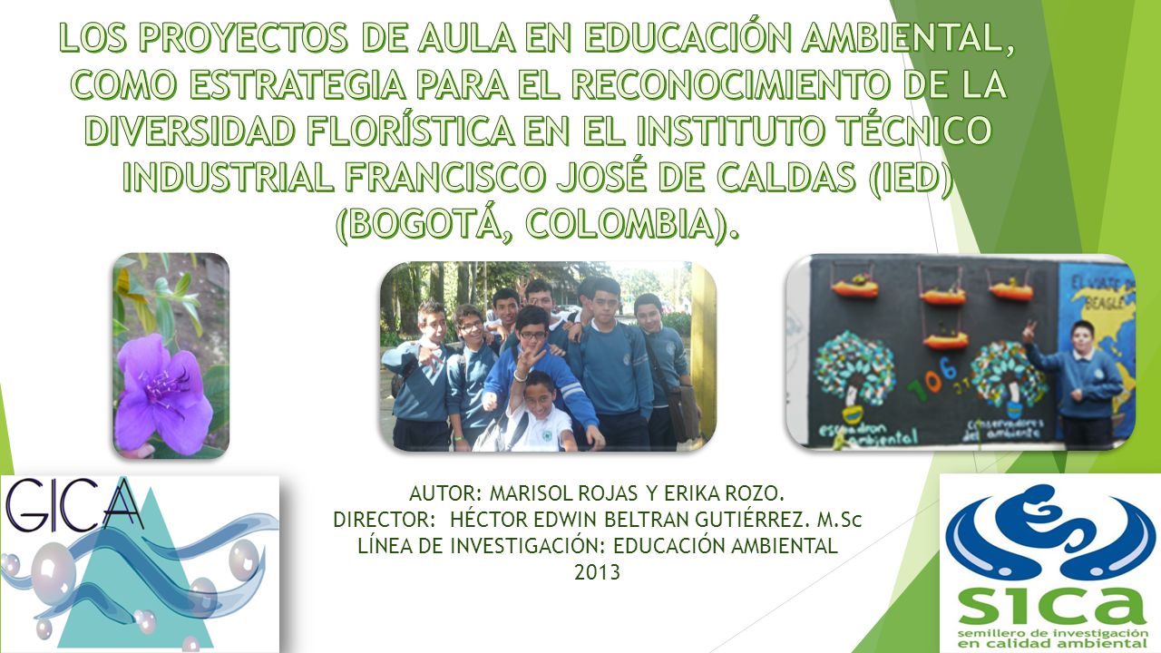 LOS PROYECTOS DE AULA EN EDUCACIÓN AMBIENTAL, COMO ESTRATEGIA PARA EL RECONOCIMIENTO DE LA DIVERSIDAD FLORÍSTICA EN EL INSTITUTO TÉCNICO INDUSTRIAL FRANCISCO JOSÉ DE CALDAS (IED) (BOGOTÁ, COLOMBIA).