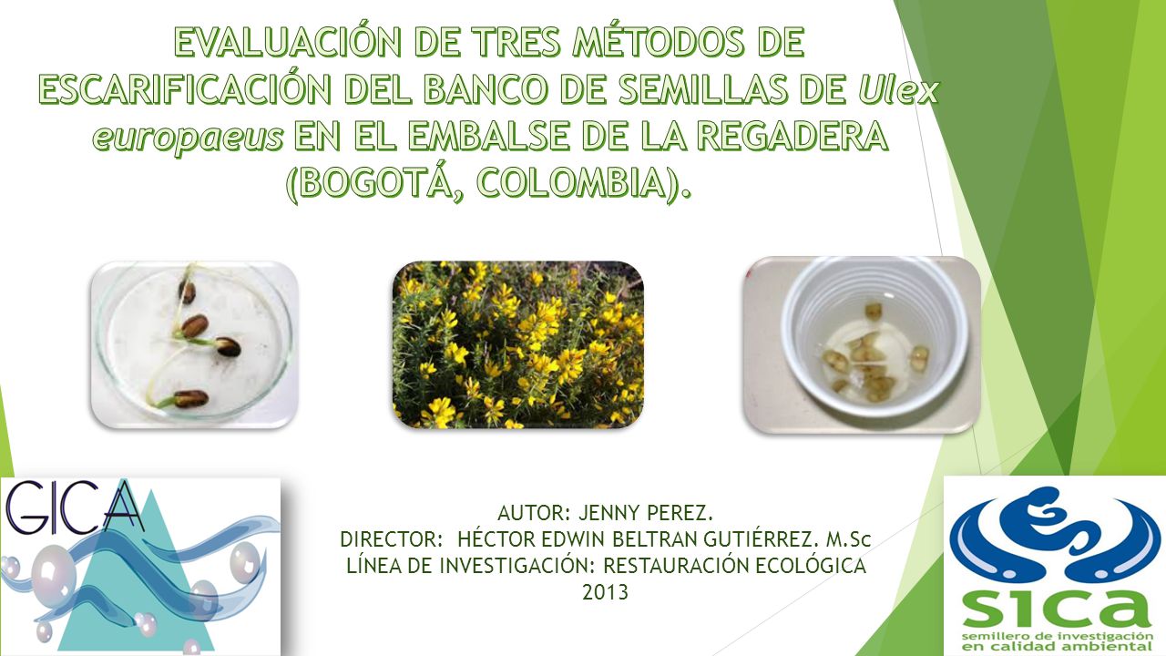EVALUACIÓN DE TRES MÉTODOS DE ESCARIFICACIÓN DEL BANCO DE SEMILLAS DE Ulex europaeus EN EL EMBALSE DE LA REGADERA (BOGOTÁ, COLOMBIA).