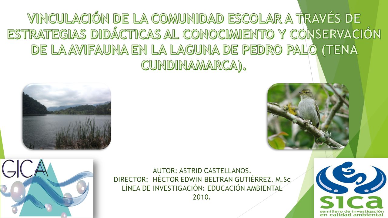 VINCULACIÓN DE LA COMUNIDAD ESCOLAR A TRAVÉS DE ESTRATEGIAS DIDÁCTICAS AL CONOCIMIENTO Y CONSERVACIÓN DE LA AVIFAUNA EN LA LAGUNA DE PEDRO PALO (TENA CUNDINAMARCA).