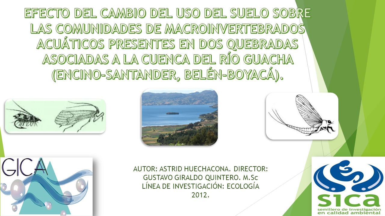 EFECTO DEL CAMBIO DEL USO DEL SUELO SOBRE LAS COMUNIDADES DE MACROINVERTEBRADOS ACUÁTICOS PRESENTES EN DOS QUEBRADAS ASOCIADAS A LA CUENCA DEL RÍO GUACHA (ENCINO-SANTANDER, BELÉN-BOYACÁ).