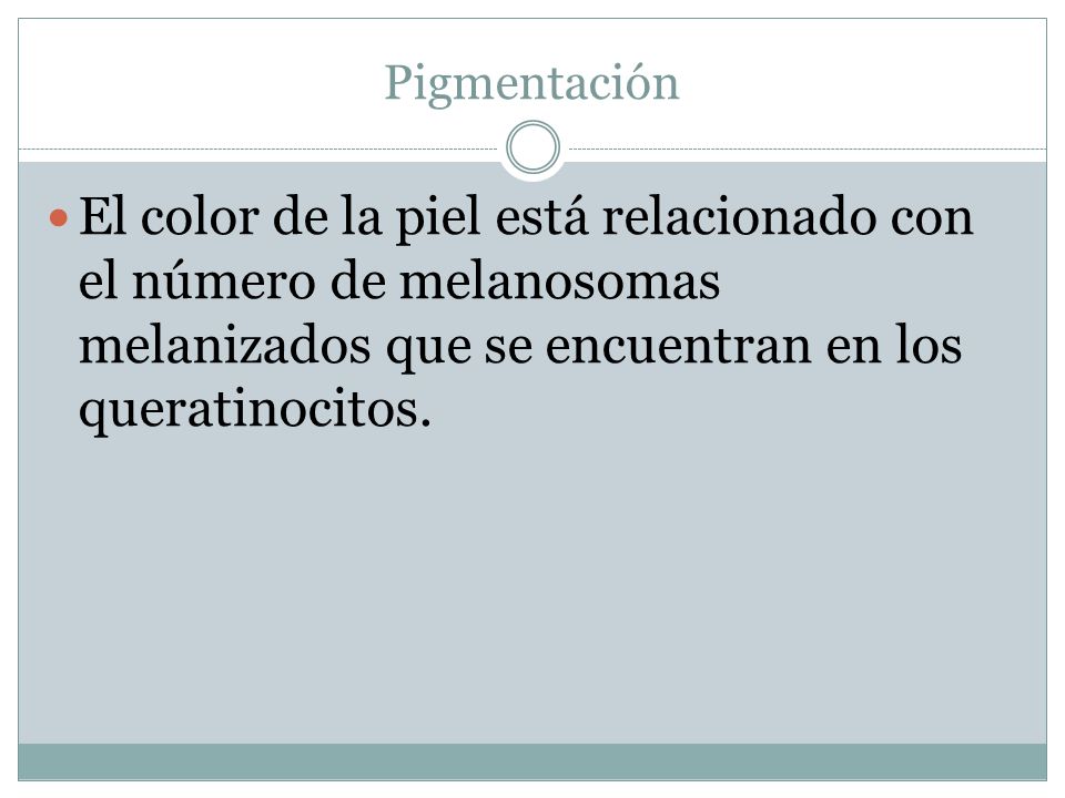 Pigmentación El color de la piel está relacionado con el número de melanosomas melanizados que se encuentran en los queratinocitos.