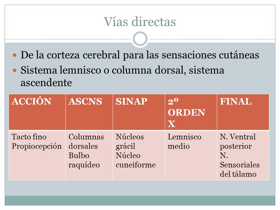 Vías directas De la corteza cerebral para las sensaciones cutáneas