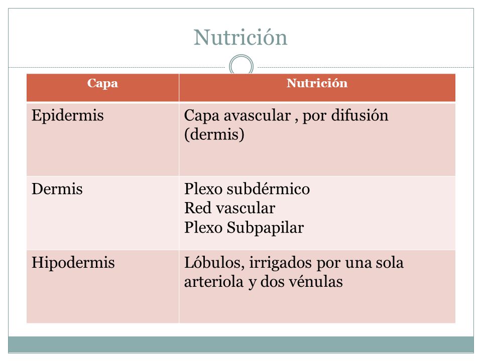 Nutrición Epidermis Capa avascular , por difusión (dermis) Dermis