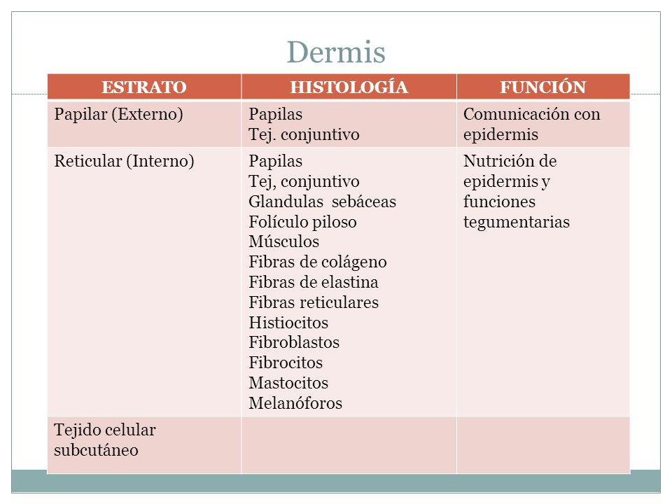 Dermis ESTRATO HISTOLOGÍA FUNCIÓN Papilar (Externo) Papilas