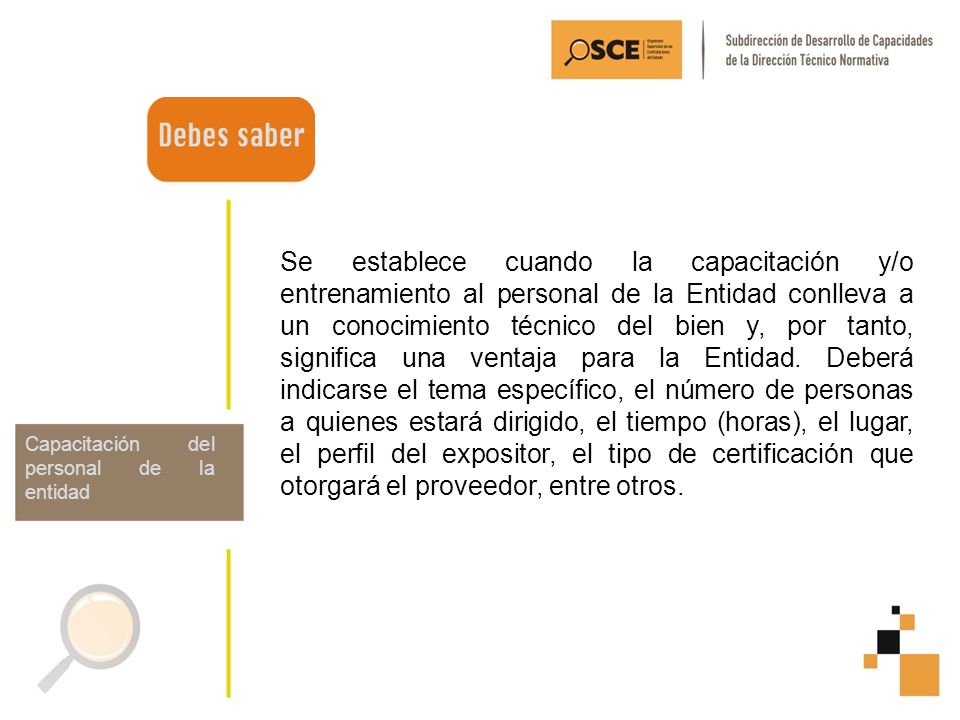 Se establece cuando la capacitación y/o entrenamiento al personal de la Entidad conlleva a un conocimiento técnico del bien y, por tanto, significa una ventaja para la Entidad. Deberá indicarse el tema específico, el número de personas a quienes estará dirigido, el tiempo (horas), el lugar, el perfil del expositor, el tipo de certificación que otorgará el proveedor, entre otros.