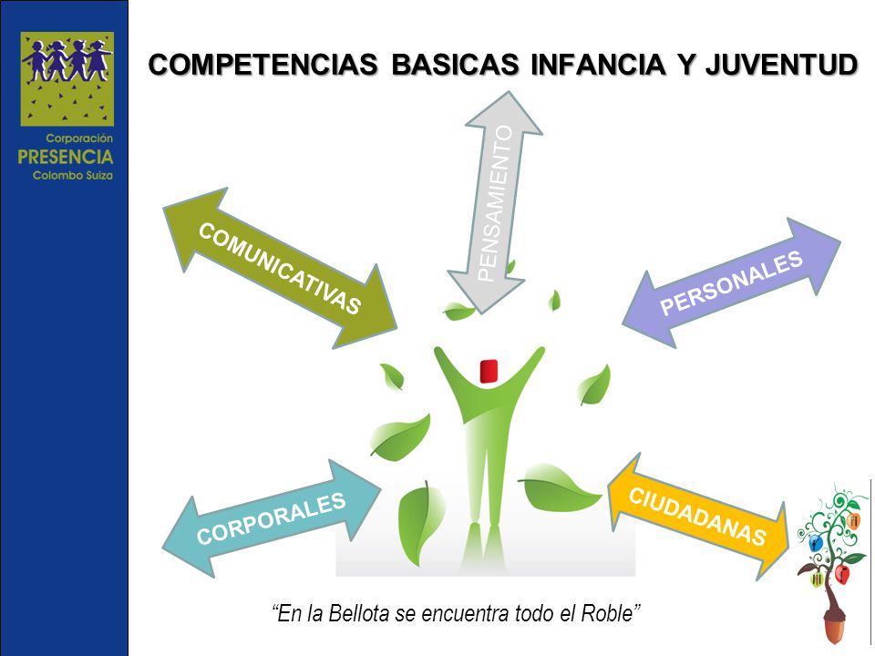 COMPETENCIAS BASICAS INFANCIA Y JUVENTUD